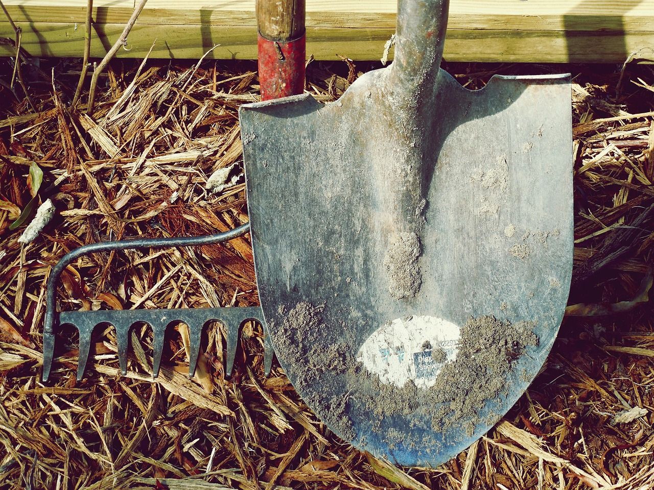 découvrez le marché des outils d'intelligence stratégique, ses tendances, innovations et opportunités pour améliorer la prise de décision en entreprise.