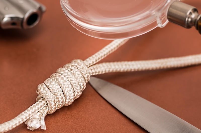 Homicide volontaire en 2026 : décryptage des tendances alarmantes en France