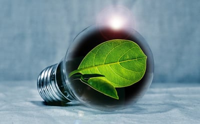 Isabelle Somers de Gestion Walter Capital : Un héritage de 70 ans d’innovation dans l’entrepreneuriat industriel et financier