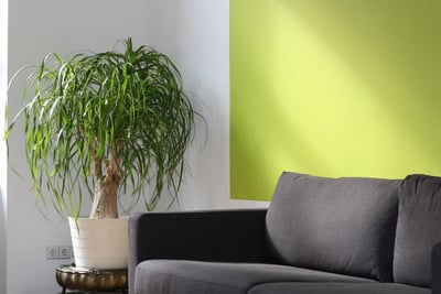 Journée de Coaching pour Entrepreneurs : Boostez votre Potentiel !