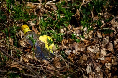 Développement durable : Les clés pour un avenir écologique