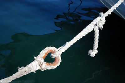 Le récit inspirant d’un projet de réinsertion qui a porté ses fruits