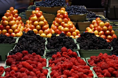 Évaluation des tendances du marché pour un business plan réussi