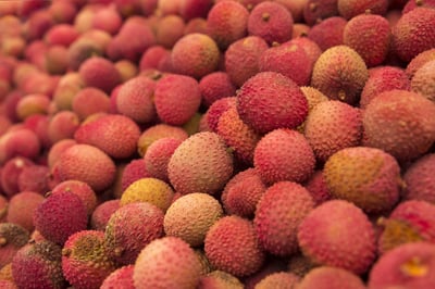 Tendances du marché alimentaire pour les entrepreneurs en restauration