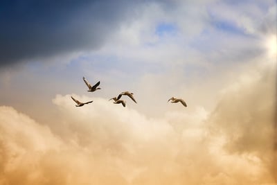 Solo : la plateforme dédiée à l’autonomie des solopreneurs pour préserver leur liberté