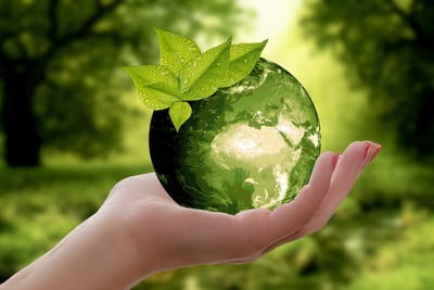Les tendances de la mobilité durable et leur impact sur les startups