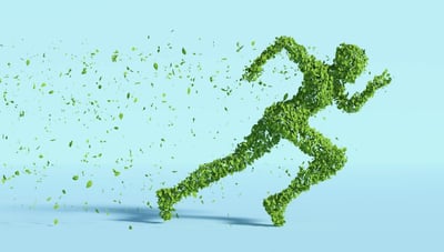 Écologie et entrepreneuriat : tendances à prendre en compte
