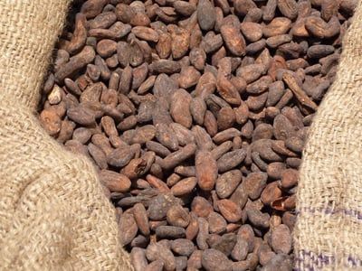Ancien militaire, il réinvente la chocolaterie Chapon en s’inspirant du succès de Calzedonia