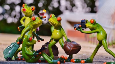 Comment organiser un voyage de groupe réussi pour retraités Orange en 2025 ?