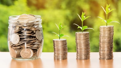 WHAT YOU NEED cherche à embaucher un(e) Expert(e) en finance et en développement d’entreprise