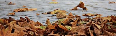 Quand l’automne adoucit l’air et ravive la vie personnelle de l’entrepreneur