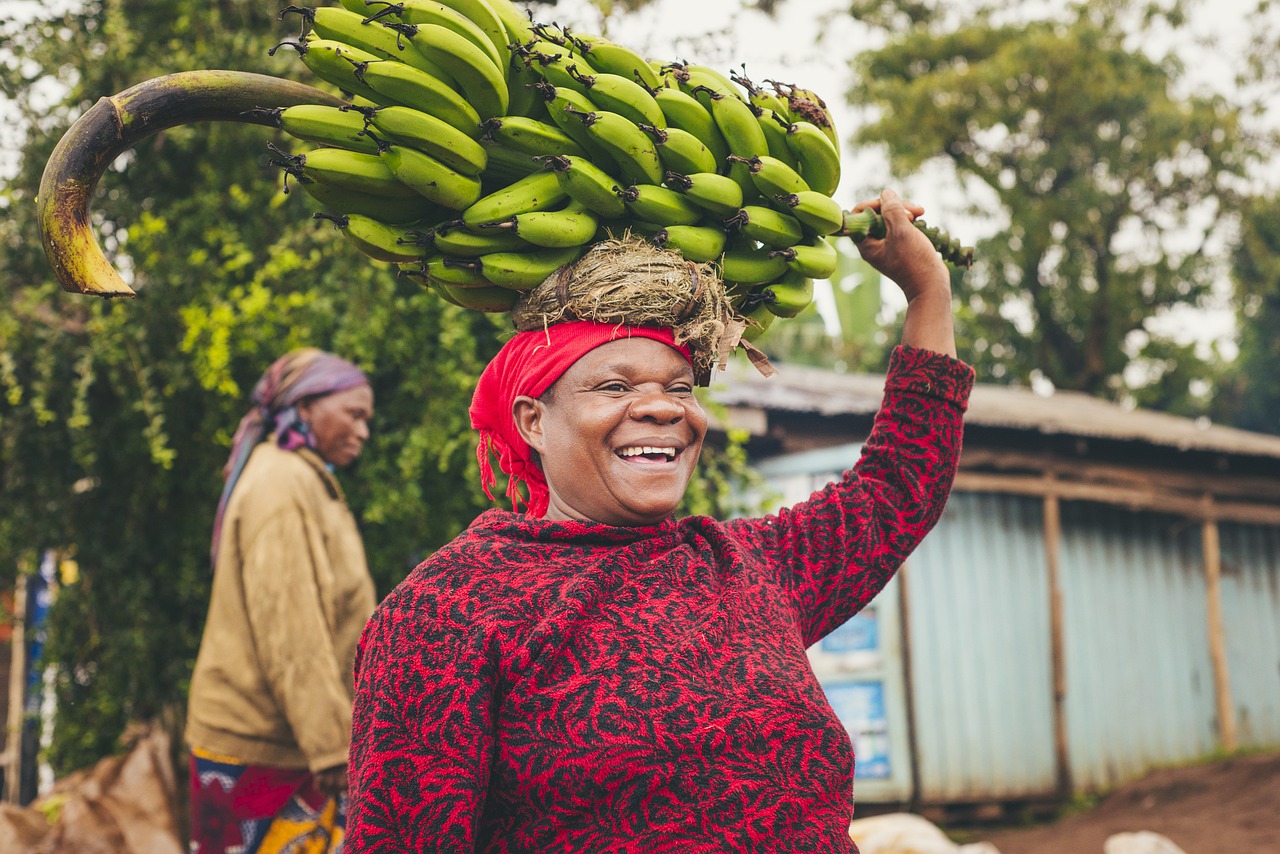 découvrez les dernières tendances du marché alimentaire, analysant l'évolution des préférences des consommateurs, l'innovation en matière de produits et les impacts des nouvelles technologies sur l'industrie alimentaire.