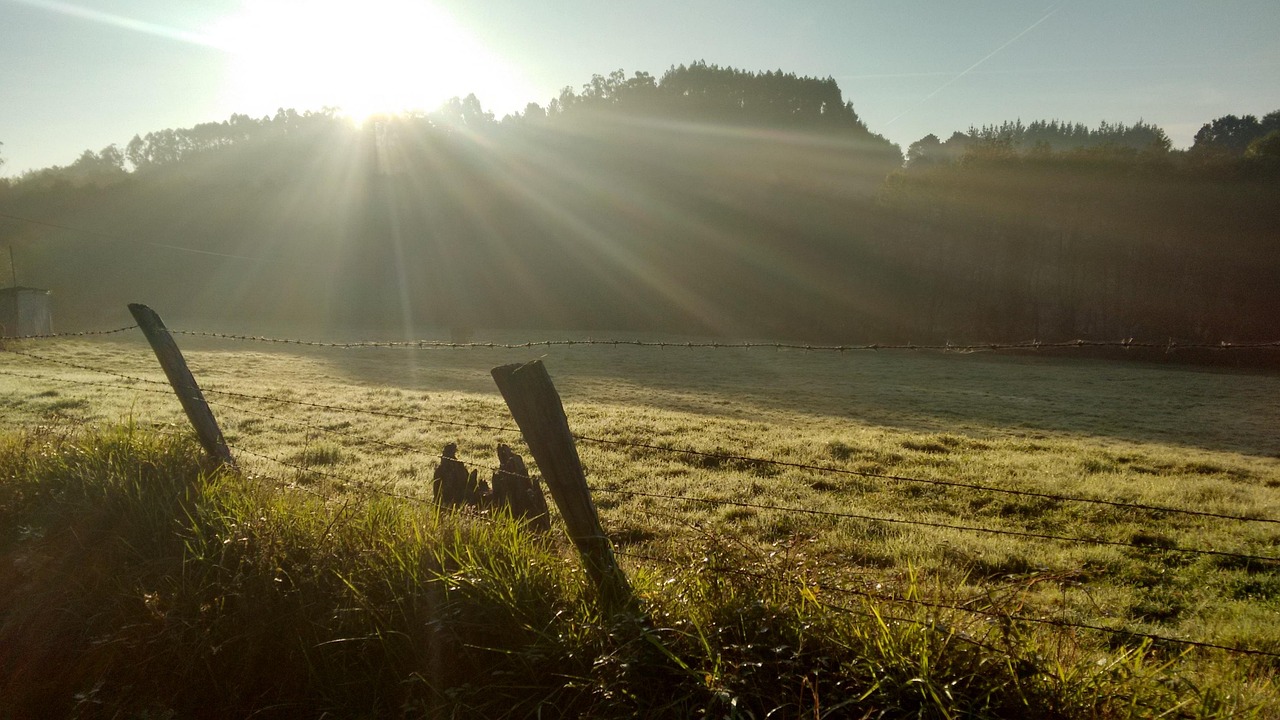 découvrez l'importance de la gratitude dans votre vie quotidienne. apprenez comment cultiver cette belle émotion pour améliorer votre bien-être, renforcer vos relations et apporter plus de positivité dans votre quotidien. transformez votre perspective en adoptant une attitude de gratitude.