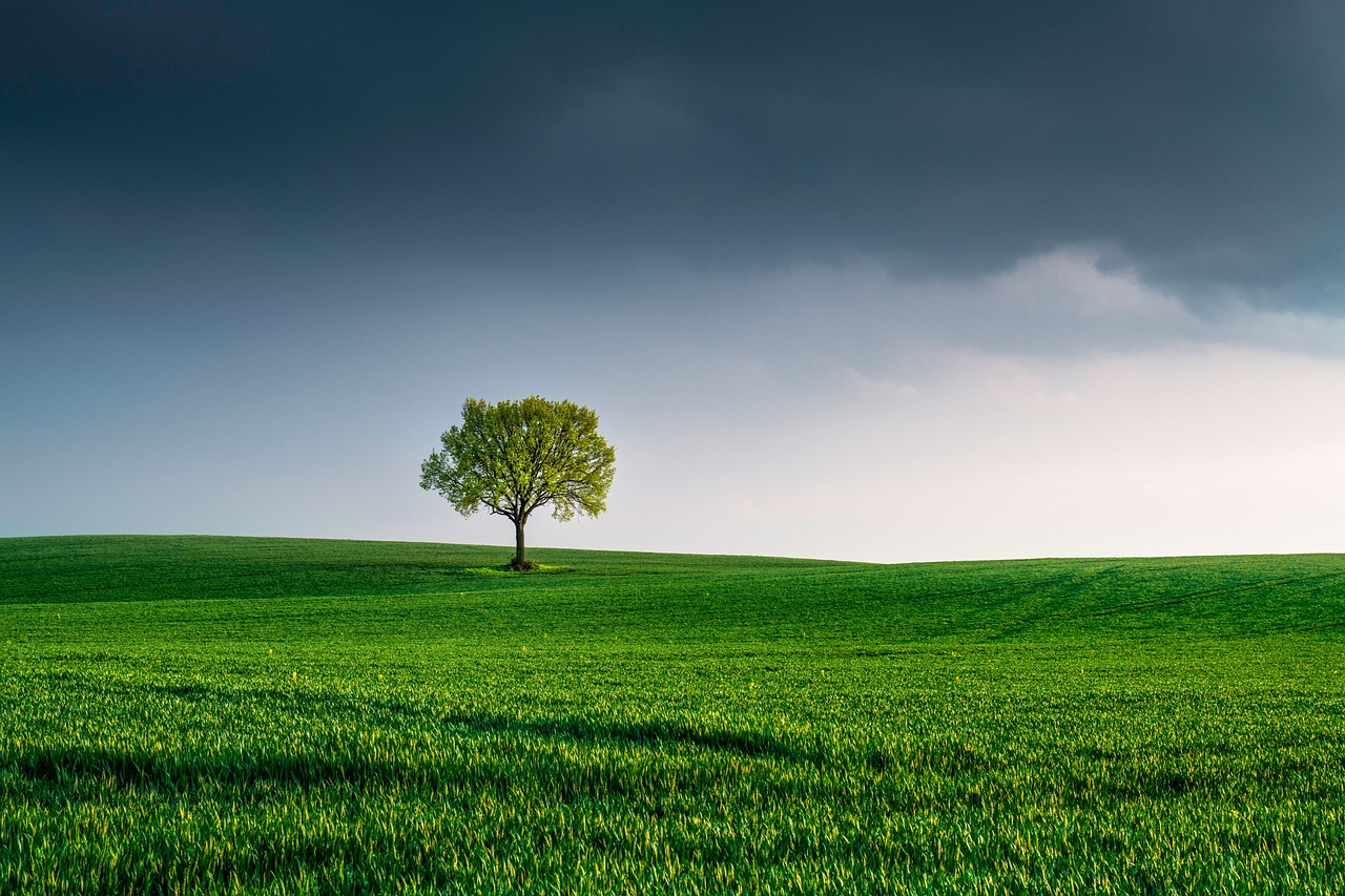 découvrez comment créer un environnement de travail sain qui favorise le bien-être, la productivité et la collaboration au sein de votre équipe. apprenez des stratégies efficaces pour améliorer la santé mentale et physique de vos employés.