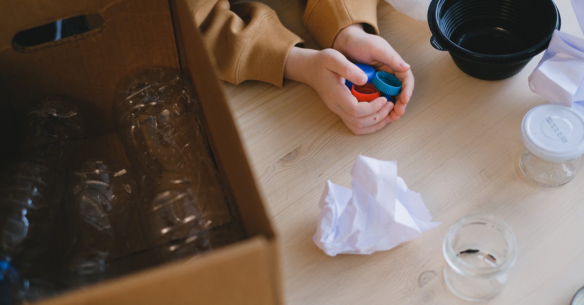 découvrez des pratiques durables pour un avenir respectueux de l'environnement. apprenez comment intégrer des solutions écologiques dans votre quotidien pour préserver notre planète tout en améliorant votre qualité de vie.