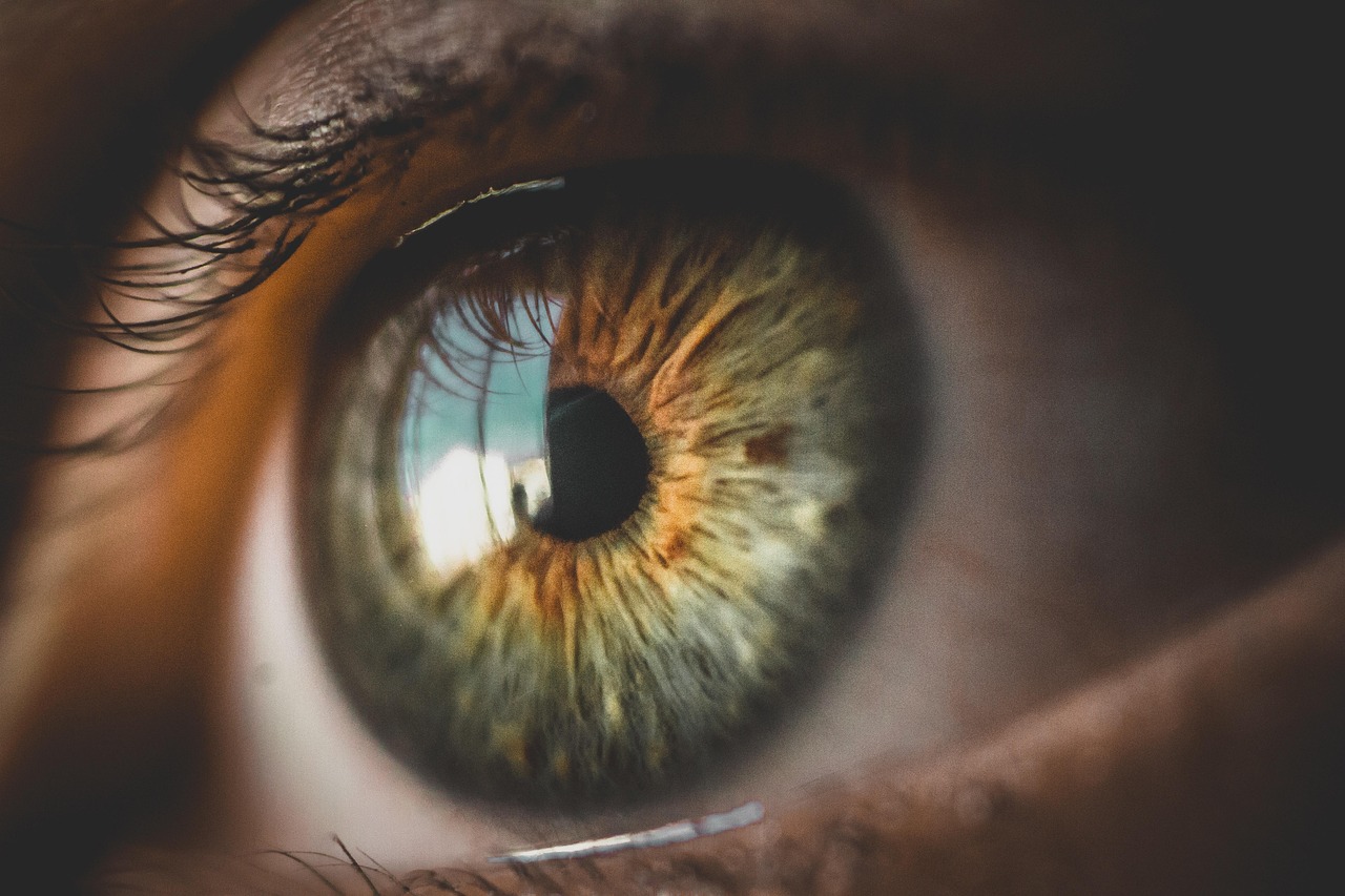 découvrez comment développer une vision entrepreneuriale claire et inspirante pour guider votre entreprise vers le succès. transformez vos idées en actions et apprenez à anticiper les défis du marché avec une perspective innovante.