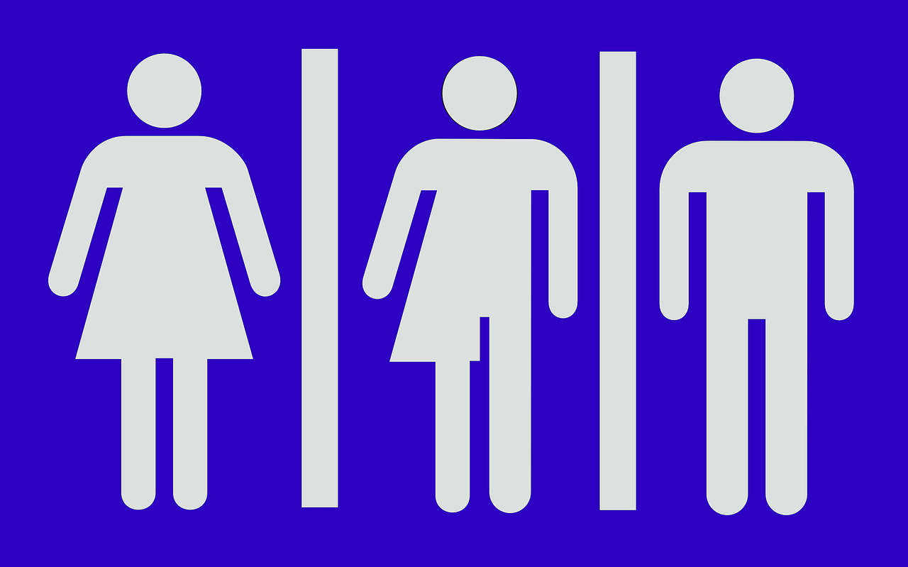 découvrez l'importance de la parité des genres, un enjeu crucial pour l'égalité des droits et des opportunités dans tous les domaines de la société. explorez les initiatives et les stratégies pour promouvoir un équilibre équitable entre les sexes.
