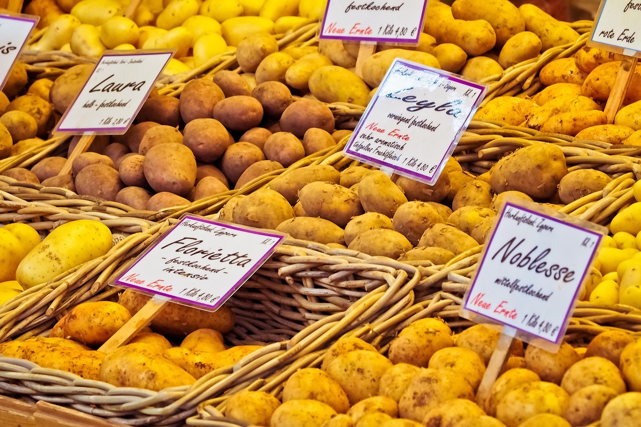 découvrez comment les évaluations de marché peuvent guider vos décisions stratégiques et optimiser votre position sur le marché. analysez les tendances, évaluez la concurrence et identifiez de nouvelles opportunités pour propulser votre entreprise vers le succès.