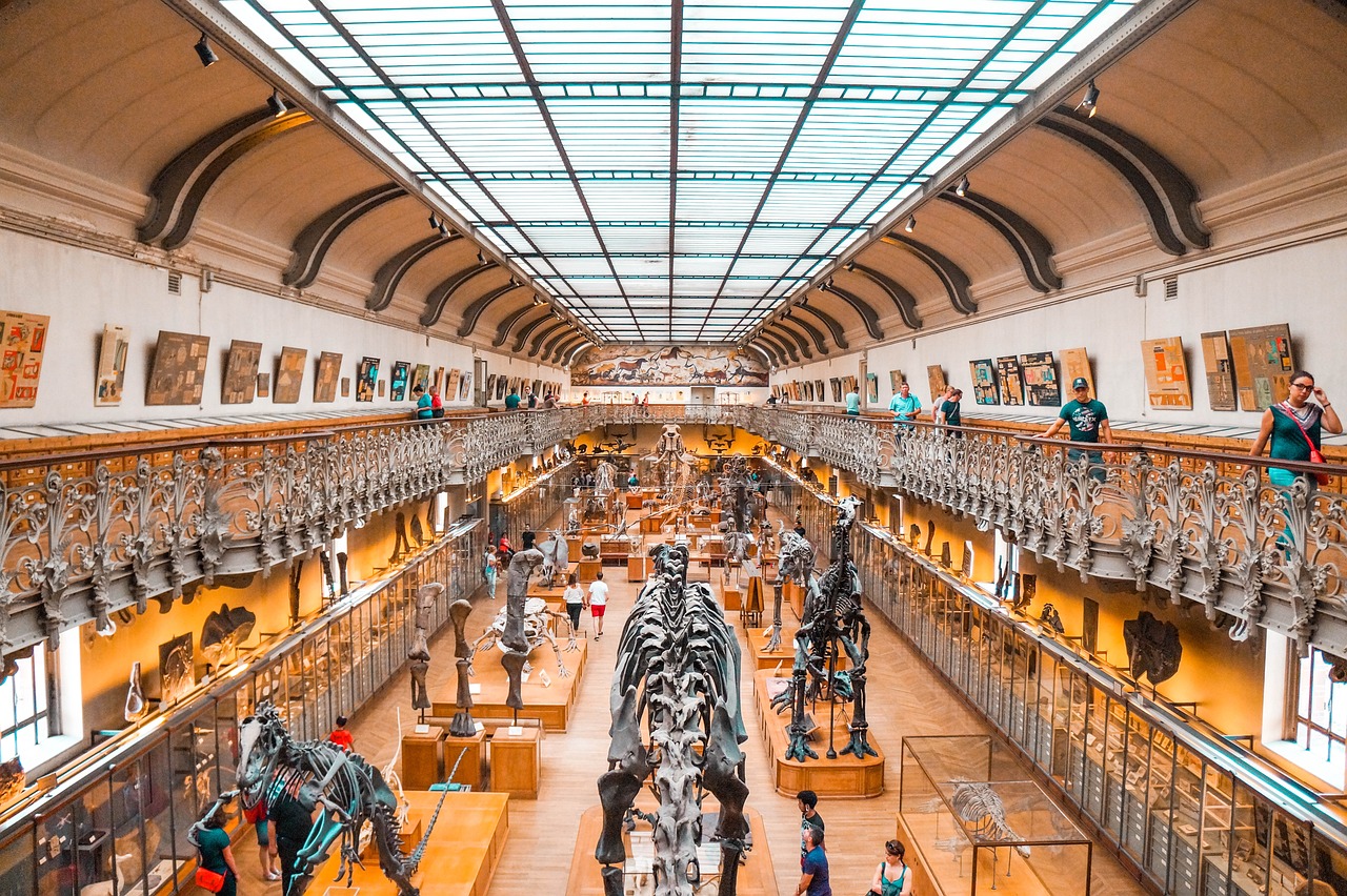 découvrez les tendances et dynamiques actuelles de l'évolution du marché, analysant les facteurs clés qui influent sur les comportements des consommateurs et les stratégies des entreprises pour s'adapter à un environnement en constante mutation.