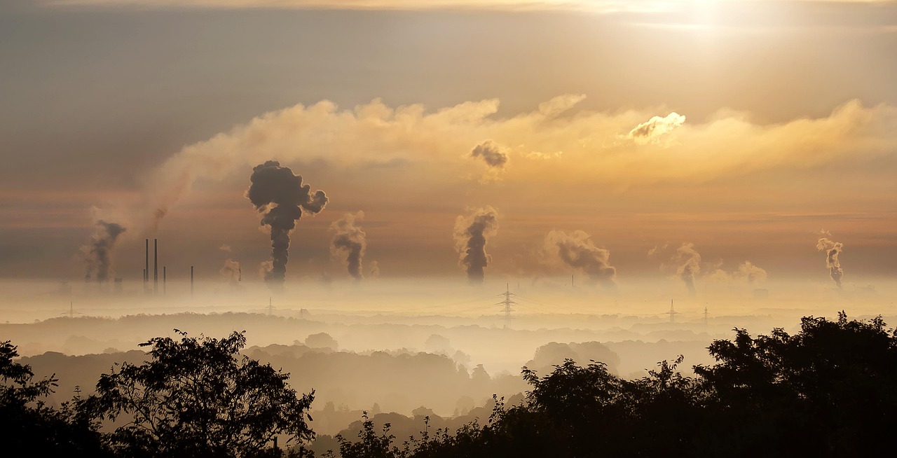 découvrez l'impact environnemental des activités humaines et les solutions durables pour protéger notre planète. explorez les enjeux écologiques, les initiatives vertes et les actions à entreprendre pour un avenir durable.