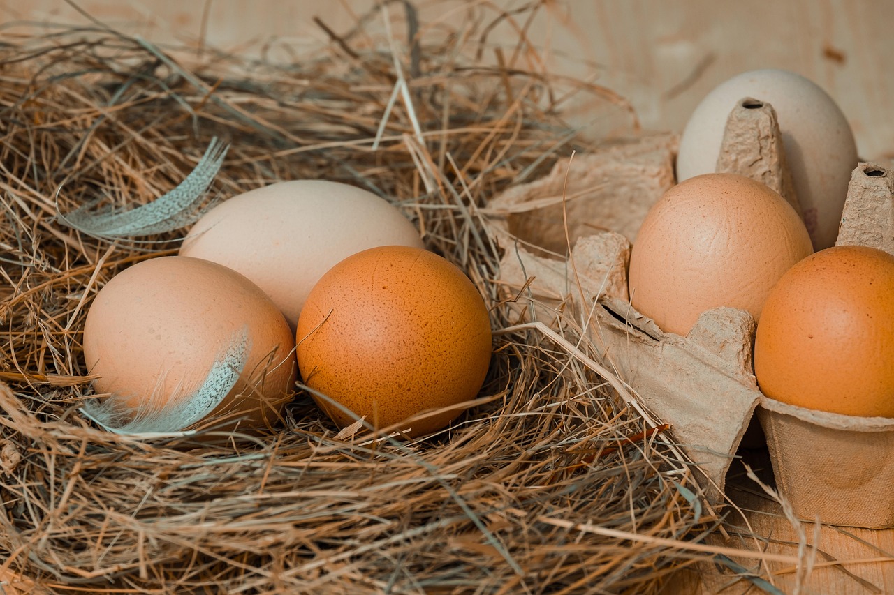 découvrez le cycle de vie des produits : de la conception à la mise au rebut. apprenez les étapes clés pour optimiser le développement, la gestion et la durabilité de vos produits tout au long de leur existence.