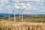 découvrez le concept de finance durable, qui vise à allier performance économique et respect de l'environnement. apprenez comment les investissements responsables et les pratiques financières écologiques peuvent contribuer à un avenir plus durable.
