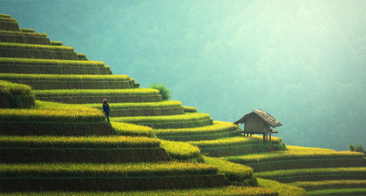 découvrez comment l'innovation durable transforme nos sociétés en alliant performance économique et responsabilité environnementale. explorez des solutions novatrices pour un avenir plus vert et éthique.