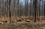 découvrez l'économie circulaire, un modèle durable qui privilégie la réduction des déchets, la réutilisation des ressources et la durabilité. apprenez comment ce principe novateur transforme nos économies tout en préservant l'environnement.