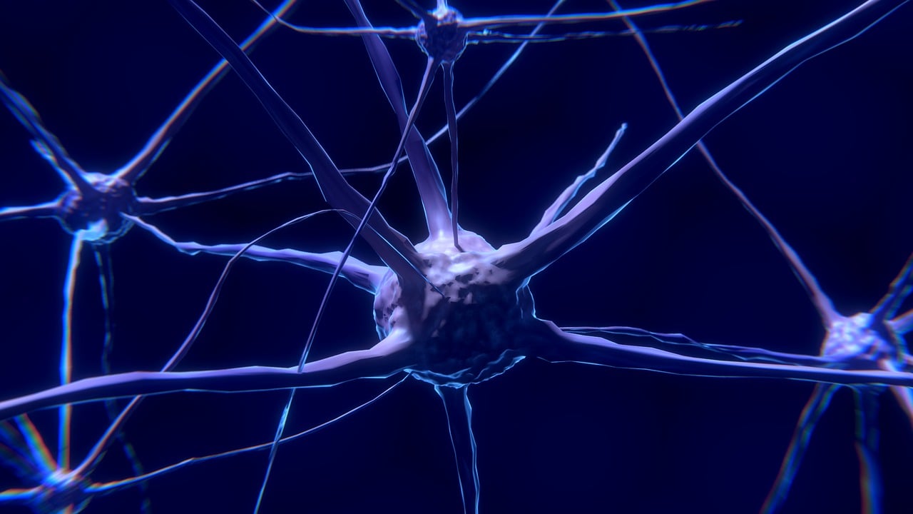 découvrez le monde fascinant de la neuroscience, une discipline qui explore le cerveau humain et ses fonctions. apprenez comment les neurones interagissent, comment nous percevons le monde et comment les découvertes en neurosciences peuvent transformer notre compréhension de la cognition et du comportement.