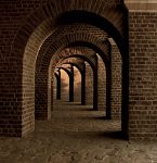 découvrez des histoires inspirantes de réussite qui vous motiveront à atteindre vos objectifs. explorez des parcours de vie, des défis surmontés et des leçons apprises pour vous inspirer dans votre propre cheminement.