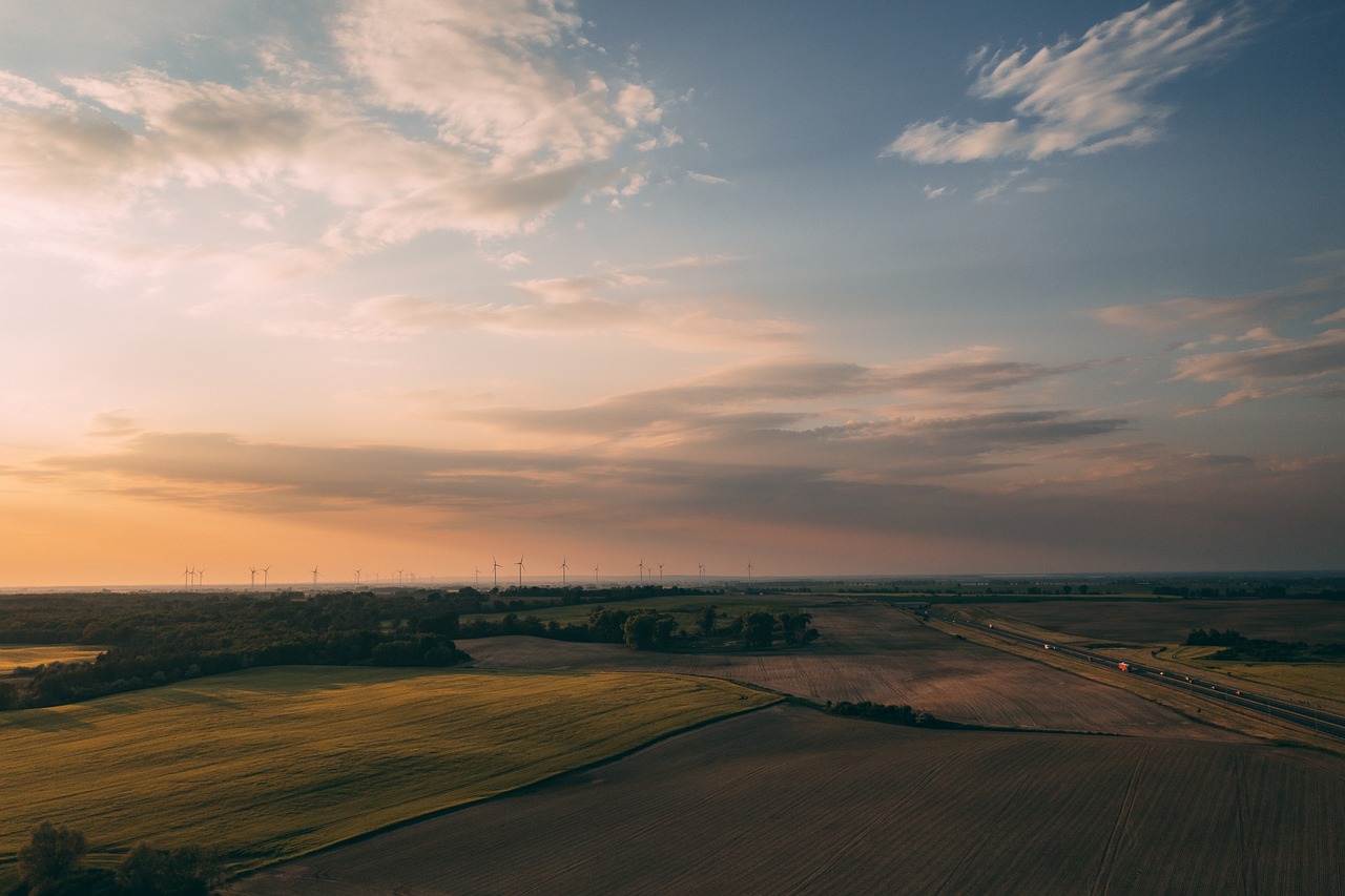 découvrez comment intégrer des pratiques durables dans votre quotidien et contribuer à un avenir respectueux de l'environnement. explorez les concepts clés de la durabilité et les actions que chacun peut entreprendre pour préserver notre planète.