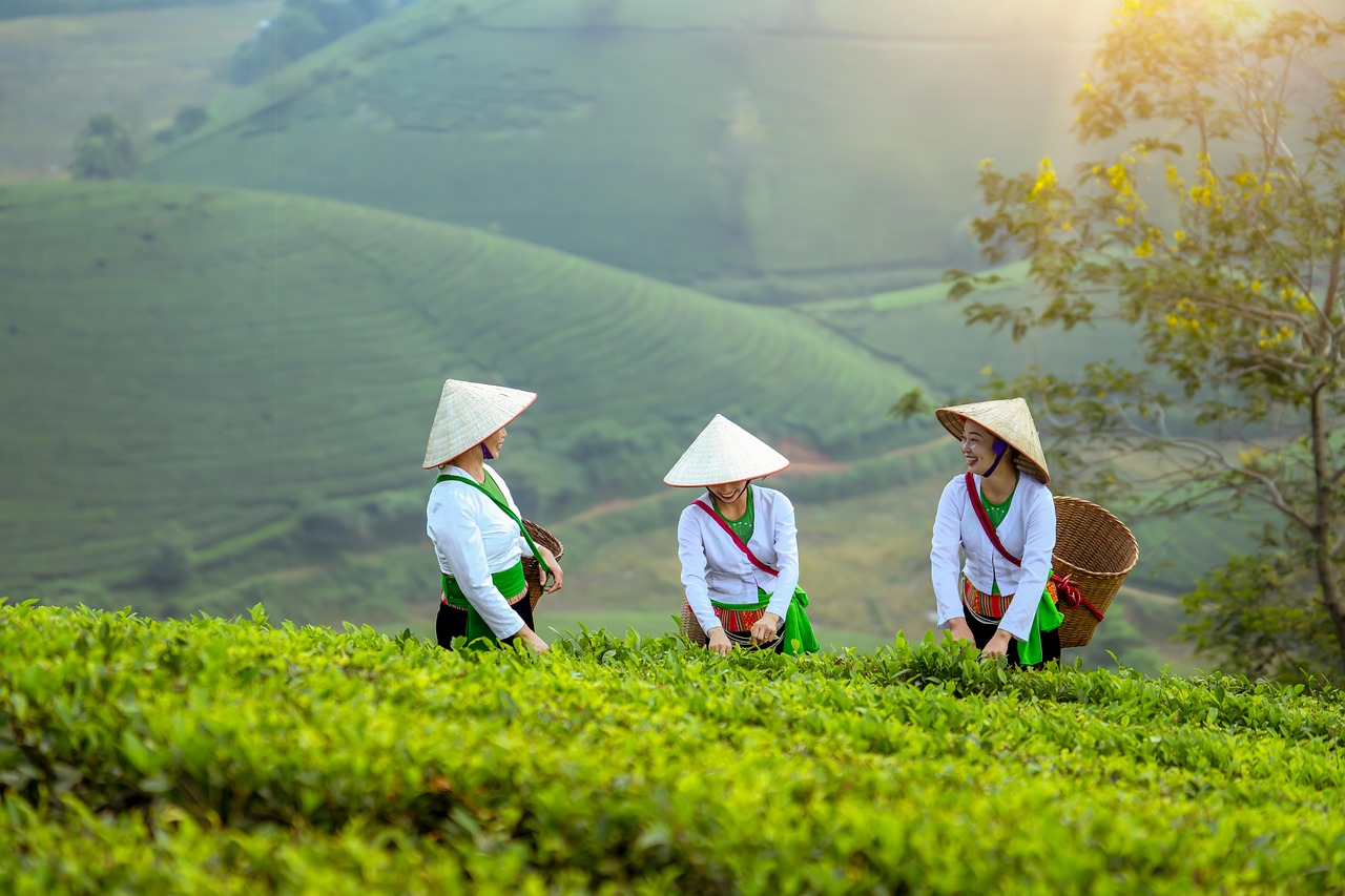 découvrez les clés du succès pour l'entrepreneuriat féminin : stratégies, témoignages inspirants et conseils pratiques pour accompagner les femmes dans leurs projets d'affaires.