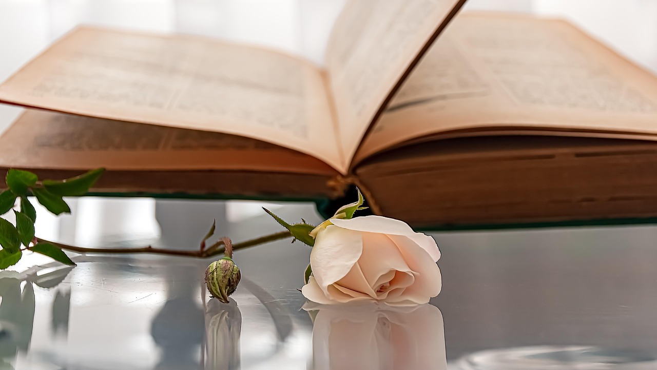 découvrez notre sélection de bestsellers incontournables : les livres les plus populaires du moment, appréciés par des milliers de lecteurs. trouvez votre prochaine lecture parmi ces succès littéraires.