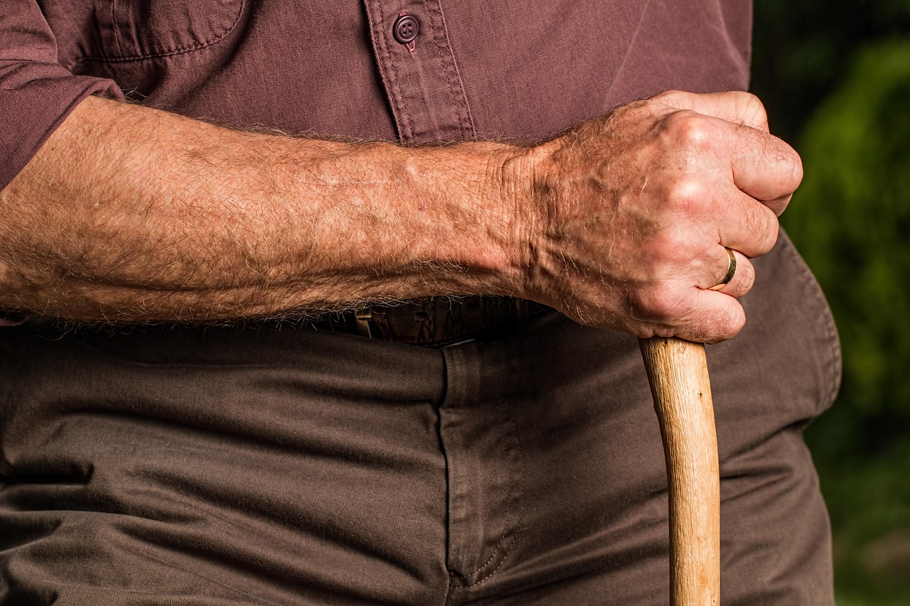 découvrez de nombreuses idées d'activités pour profiter pleinement de la retraite, rester actif, s'épanouir et vivre de nouvelles expériences enrichissantes après la vie professionnelle.