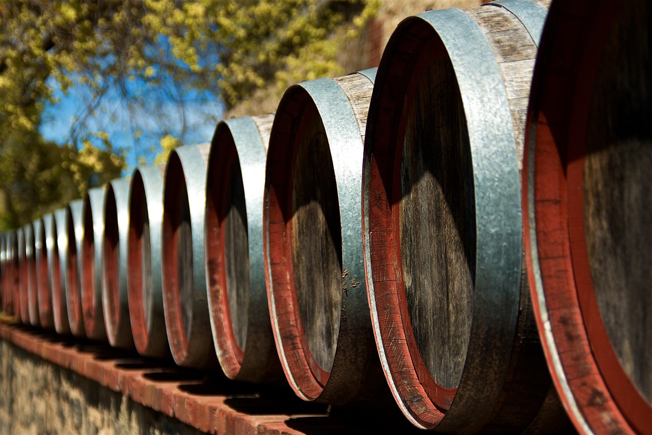 découvrez l'univers passionnant des winemakers, ces créateurs de vins d'exception qui allient savoir-faire, tradition et innovation pour élaborer des crus uniques. plongez dans leur métier, leurs techniques et leurs histoires inspirantes.