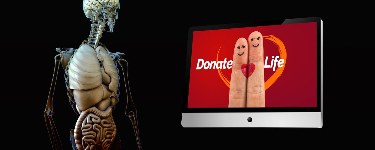 découvrez comment faire une donation en toute confiance. informations, démarches et conseils pour transmettre vos biens à vos proches ou à des associations dans le respect de la loi.