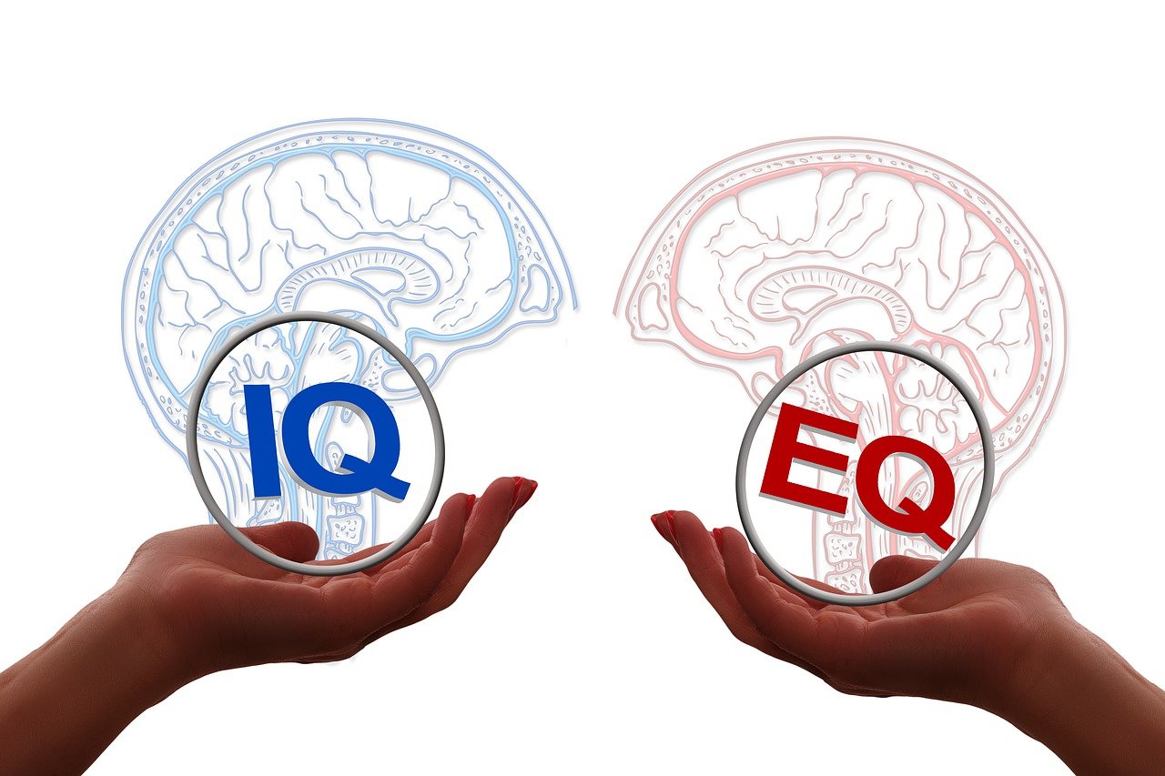 découvrez l'intelligence émotionnelle : apprenez à comprendre, gérer et exprimer vos émotions pour améliorer vos relations, votre bien-être et votre réussite personnelle et professionnelle.