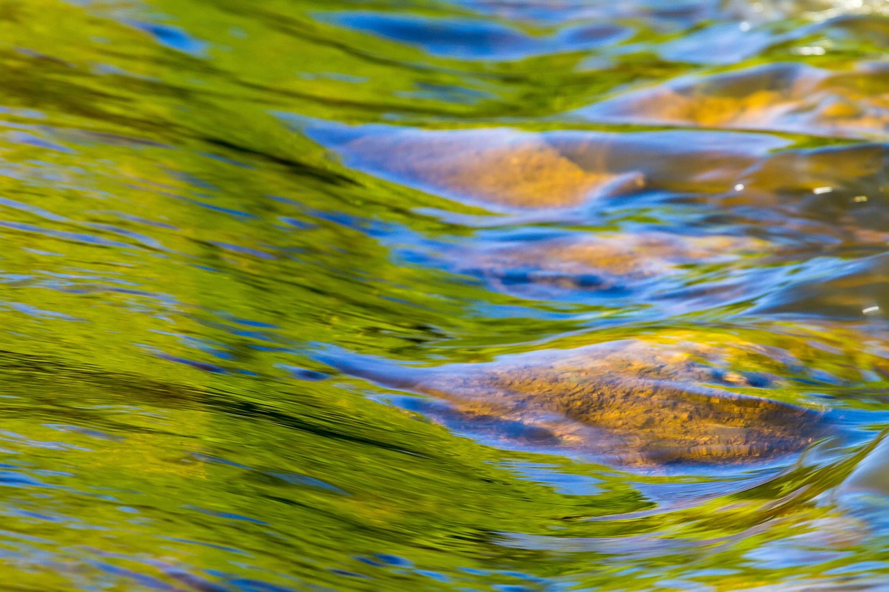 découvrez le compte courant d'actionnaire, un outil financier permettant de gérer les avances et remboursements entre les actionnaires et la société en toute simplicité.