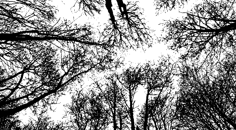 d&eacute;couvrez l'&eacute;cosyst&egrave;me, un r&eacute;seau d'interactions entre les organismes vivants et leur environnement, essentiel &agrave; l'&eacute;quilibre de la plan&egrave;te.