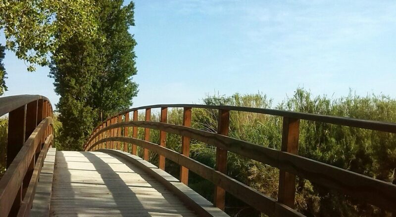 d&eacute;couvrez les cl&eacute;s de l'entrepreneuriat : conseils, strat&eacute;gies et inspirations pour lancer et d&eacute;velopper votre entreprise avec succ&egrave;s.