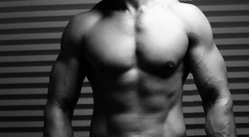 d&eacute;couvrez la croissance des studios de fitness : tendances, strat&eacute;gies et opportunit&eacute;s pour booster votre activit&eacute; et attirer plus de clients.