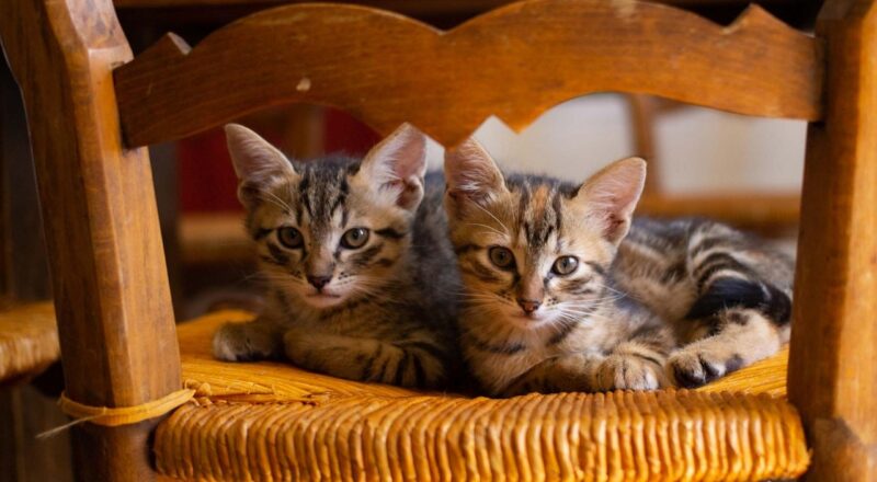 d&eacute;couvrez le k-beauty, les secrets de beaut&eacute; cor&eacute;ens, avec des soins innovants et naturels pour une peau &eacute;clatante et saine.