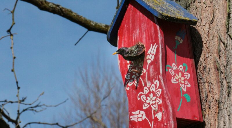 d&eacute;couvrez comment les incubateurs sp&eacute;cialis&eacute;s dans le secteur du sport favorisent l'innovation, soutiennent les startups et dynamisent l'industrie du sport business.