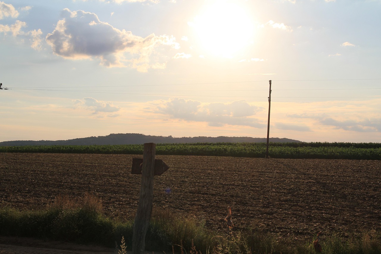 découvrez sirene directory, votre annuaire complet et fiable pour trouver toutes les informations sur les entreprises françaises rapidement et facilement.