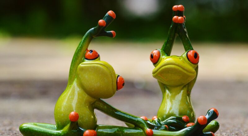 formation sur la diversification : d&eacute;veloppez vos comp&eacute;tences et explorez de nouvelles strat&eacute;gies pour enrichir votre parcours professionnel.