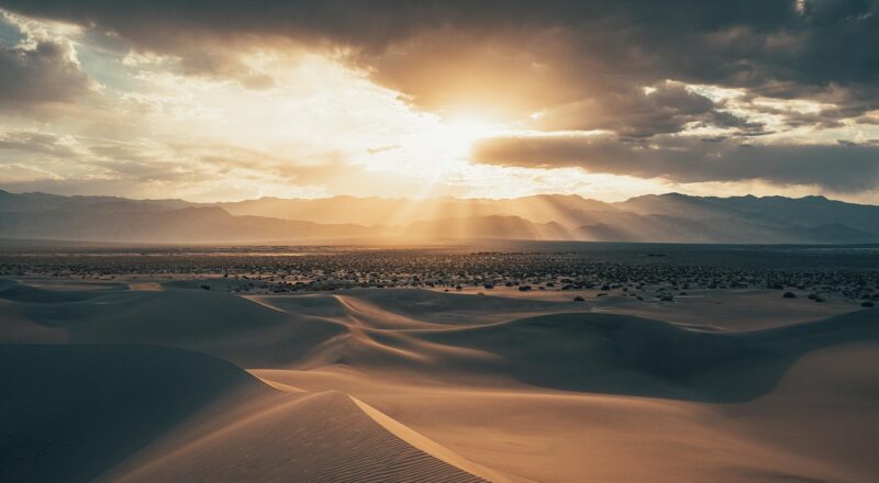 d&eacute;couvrez des r&eacute;flexions profondes et des informations essentielles sur la mort, son impact et son r&ocirc;le dans la vie humaine.