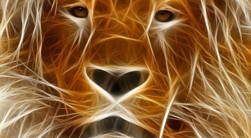 d&eacute;couvrez le programme grande &eacute;cole de l'edhec, une formation d'excellence alliant th&eacute;orie et pratique pour former les futurs leaders du management.