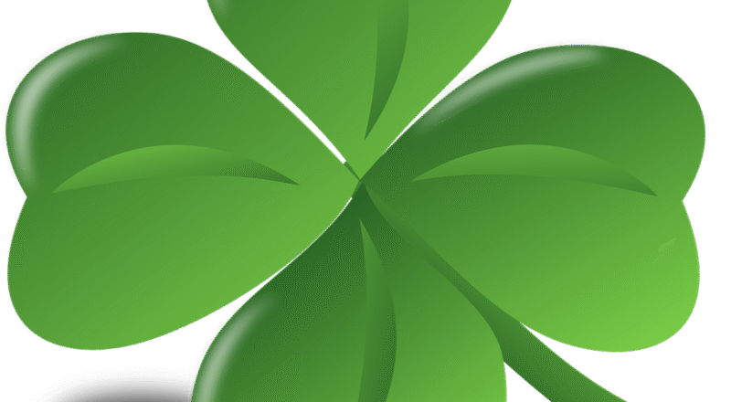 d&eacute;couvrez tout sur la fortune : conseils pour g&eacute;rer, augmenter et prot&eacute;ger votre richesse efficacement.