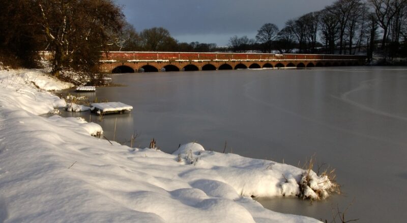 d&eacute;couvrez fr&eacute;d&eacute;ric carr&eacute;, expert passionn&eacute; et professionnel reconnu dans son domaine, offrant des solutions innovantes et personnalis&eacute;es.