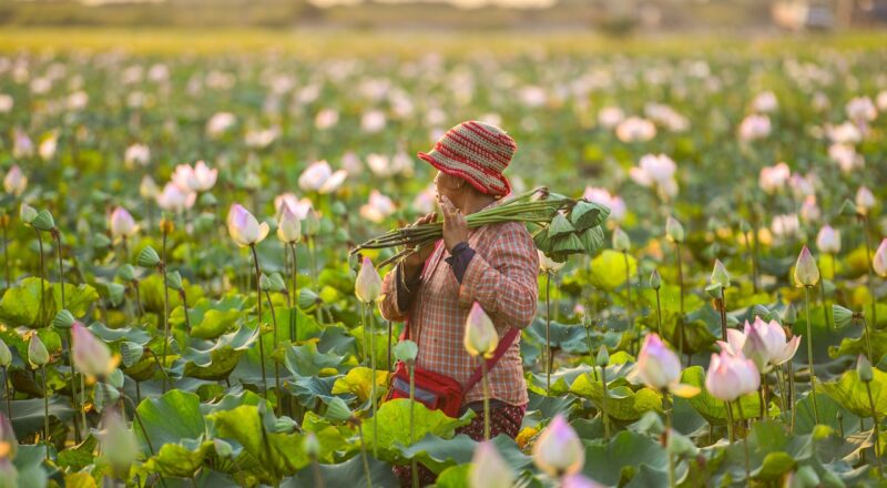 d&eacute;couvrez le leadership inspirant des femmes agricultrices et leur r&ocirc;le essentiel dans la transformation du secteur agricole.